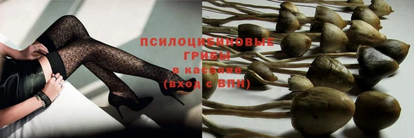 МДПВ Абинск