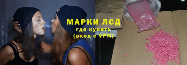 ГАЛЛЮЦИНОГЕННЫЕ ГРИБЫ Гусев