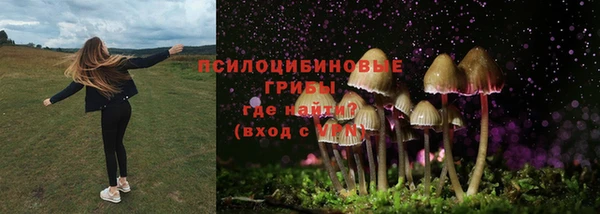 каннабис Абаза