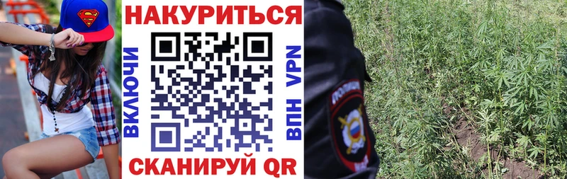 купить   Чухлома  ОМГ ОМГ ссылки  Бошки Шишки план 